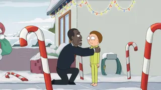 Рикциональный Рикмассовый отпуск Рикпуна